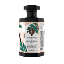 Charger l'image dans la galerie, Saneha Gin LUMINOUS