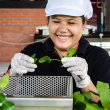 Charger l'image dans la galerie, KAFFIR LIME (Combava) Rhum - Bouteille 70cl