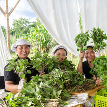 Load image into Gallery viewer, THAI SWEET BASIL Rum - 70cl bottle