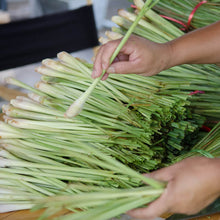 Charger l'image dans la galerie, LEMONGRASS (Citronnelle) Rhum - Bouteille de 70cl