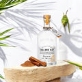 CINNAMON (Cannelle) Rhum — photo de présentation