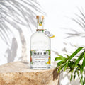 WHITE SPICED Rhum — photo de présentation